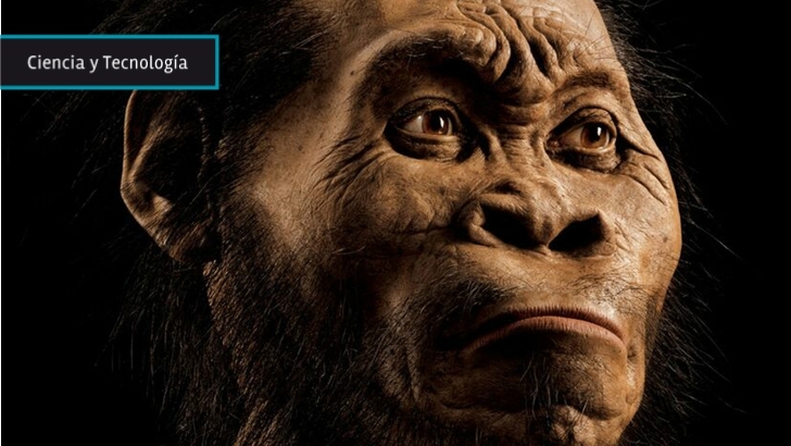  Homo naledi: Restos hallados son únicos por su volumen de información bien conservada