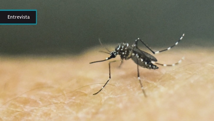  Director de Salud del MSP aconseja a embarazadas que eviten viajes a países con zika