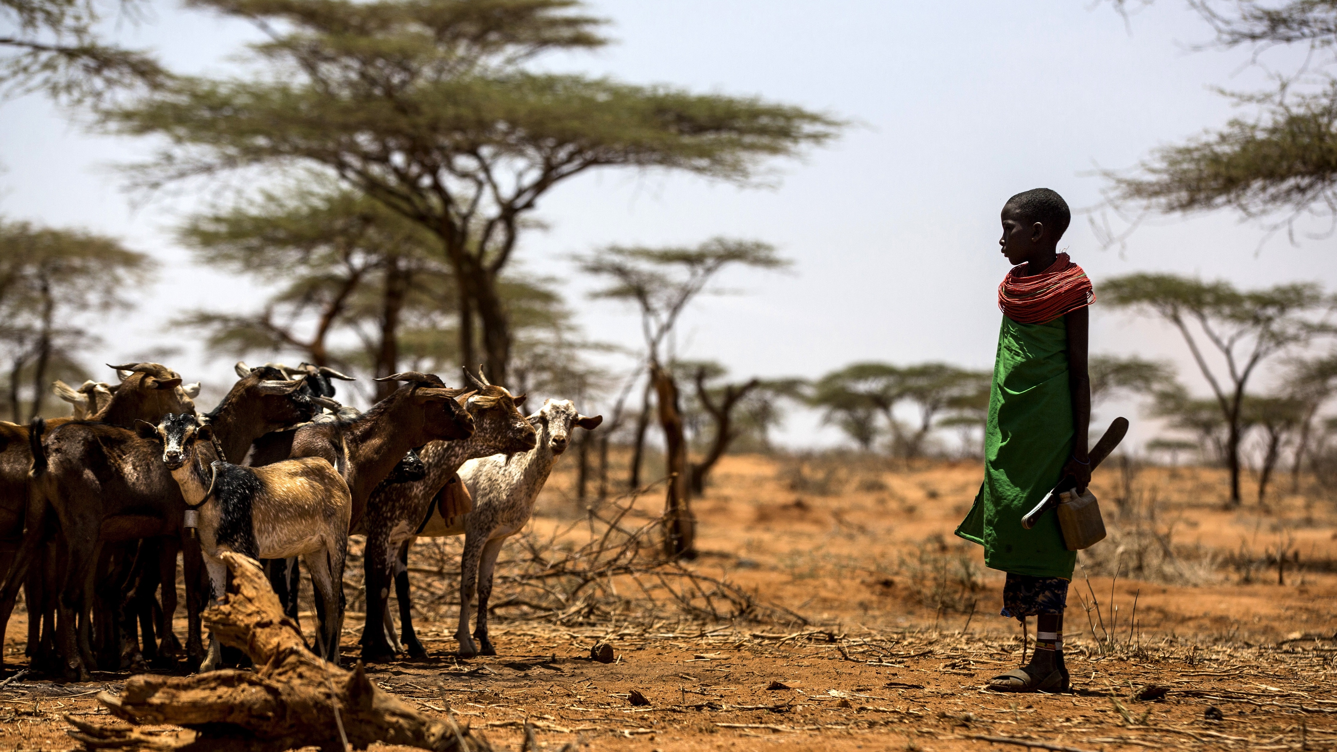  Lubetkin (FAO): «El hambre se resuelve afrontando el cambio climático, la migración y los conflictos armados»