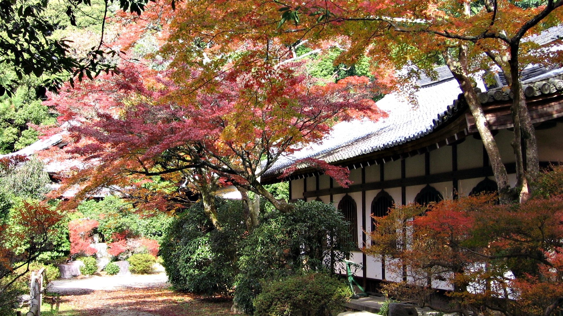  Un paseo imperdible por el Japón de los cerezos en flor