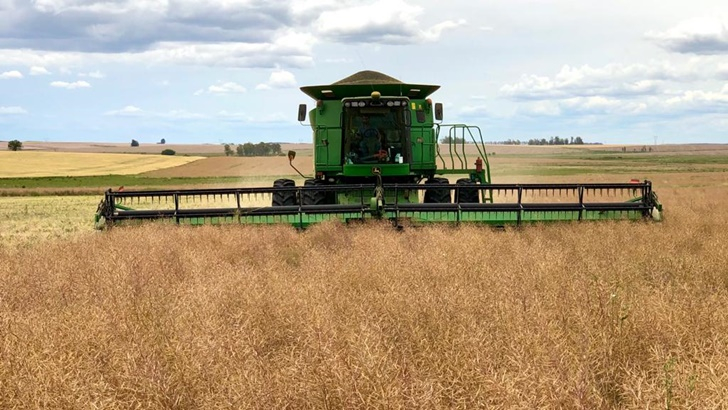  Ansiedad e incertidumbre en la agricultura uruguaya: ¿Aflojará la seca para que se pueda sembrar la soja y el maíz, que hoy tienen altos precios internacionales?