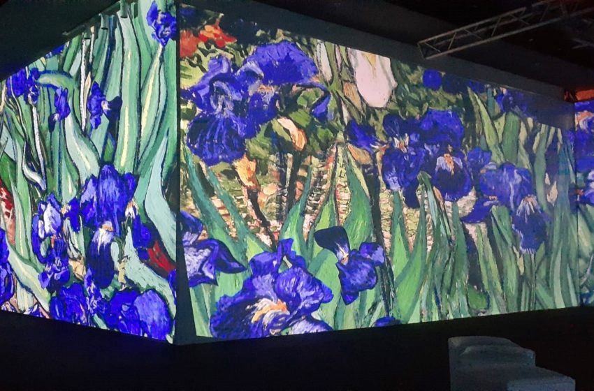  Los Ojos de la Radio: Inauguró un Centro de Arte Inmersivo en el Montevideo Shopping con la exposición «Being Van Gogh»