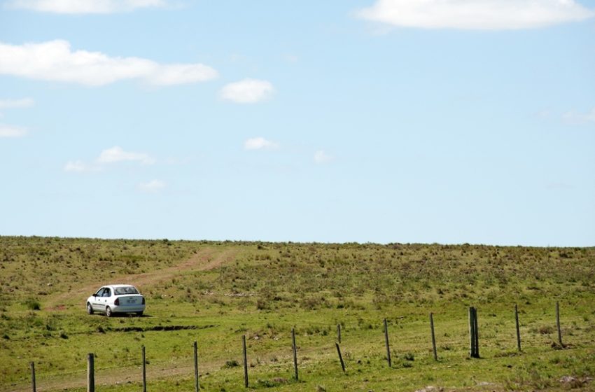  Análisis de Exante: El mercado de tierras en la primera mitad de 2021