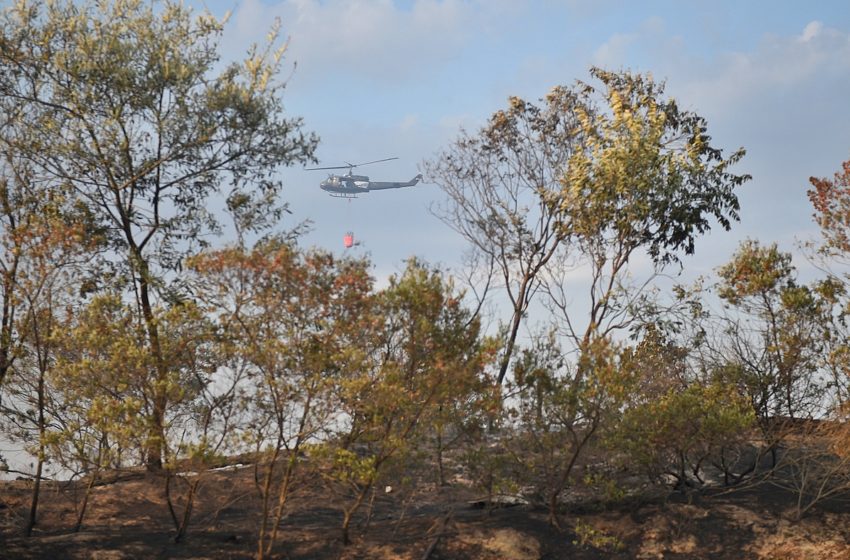  Incendios históricos en el litoral del país: El aspecto social, ambiental y agronómico del modelo forestal