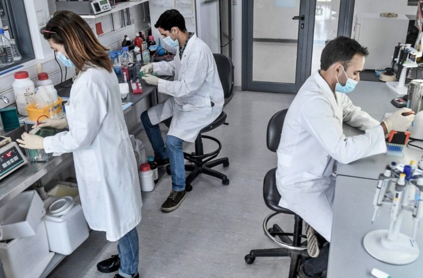  Premian en Argentina a científica uruguaya que está desarrollando un fármaco contra la obesidad