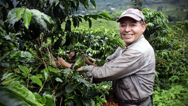  La ruta del café en Colombia