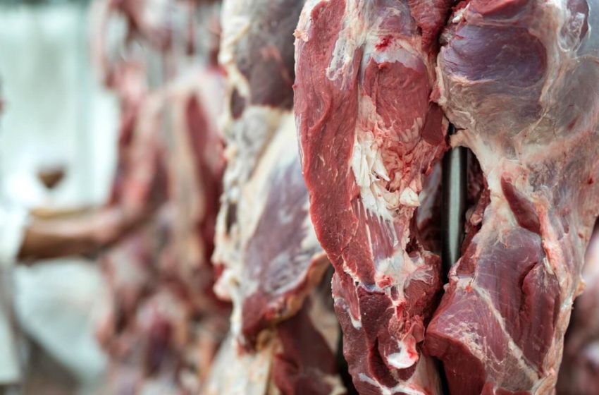  Hábitos de consumo de China, tipos de subproductos que compra ese país y «explosión» de la oferta con engorde a corral explican el récord en las exportaciones de carne, según el Ing. Agr. Pablo Carrasco