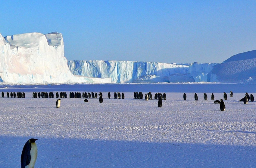 Ola de calor en la Antártida preocupa a científicos: ¿Una aceleración del cambio climático?