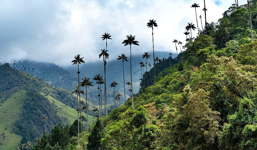 El paraíso colombiano