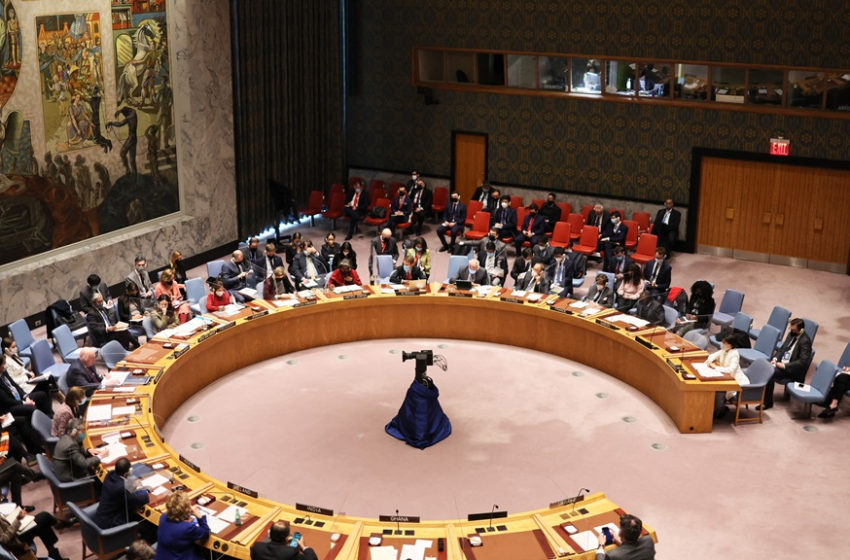  ¿Cómo podría reformarse la ONU para tener un mejor orden mundial?