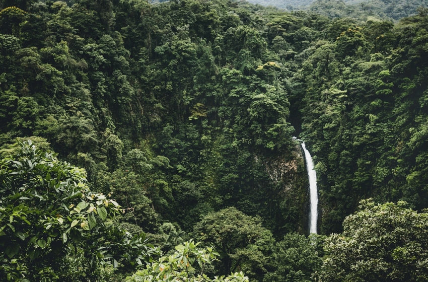  El mundo tico: Costa Rica, un país deleitable