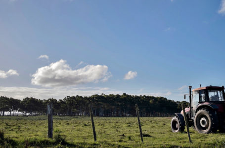 20210507/ROCHA- Uruguay/ Un tractor realiza un agujero con la pala pozera en un campo en Rocha.

En la foto: Un tractor realiza un agujero con la pala pozera. Foto: Pablo Vignali / adhocFOTOS