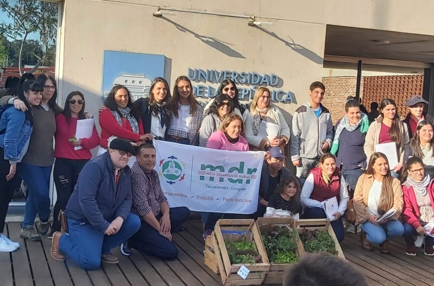 Jóvenes rurales de Tacuarembó: Un encuentro para hablar de educación, horticultura, acceso a la tierra y trabajo asociativo