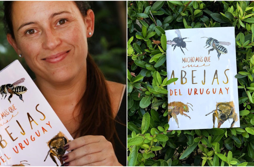  “Mucho más que miel. Abejas del Uruguay”: el libro que busca que los más chicos conozcan a este insecto y salgan al campo a reconocerlo