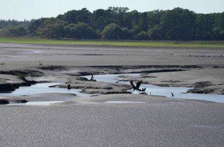 20230313/ Daniel Rodriguez – adhocFOTOS/ URUGUAY/ CANELONES/ CANELON GRANDE/ Embalse de Canelon Grande en Canelones.
En la foto: Embalse de Canelon Grande en Canelones. Foto: Daniel Rodriguez /adhocFOTOS