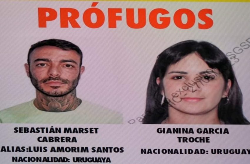  Marset afirmó que “no gastó un dólar” para obtener pasaporte uruguayo