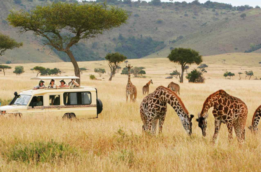  Turismo en Sudáfrica: Safaris fotográficos, playas paradisíacas, ciudades vibrantes y rutas vinícolas