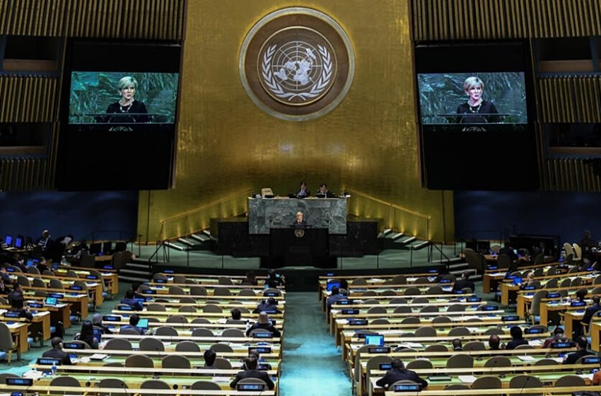  ¿Para qué sirve la Asamblea General de la ONU?