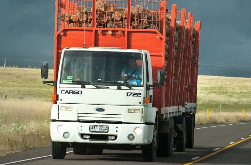  Transportistas de carga reclaman achicar costos: «No se pueden soportar más» las multas y los diferentes gobiernos «nos ningunean»