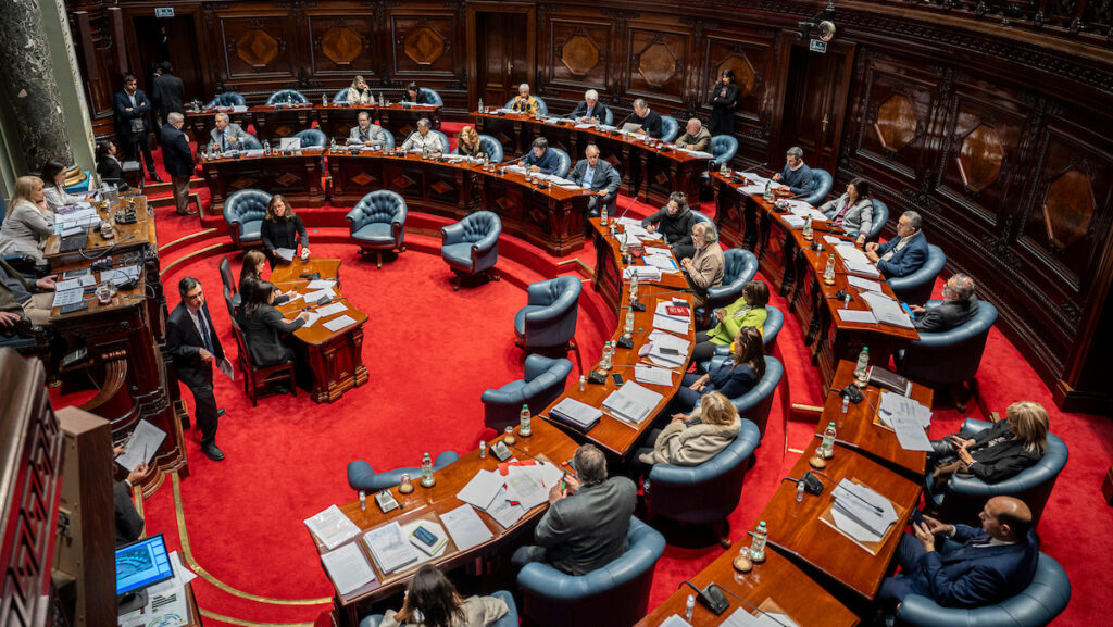 Cámara de Senadores. Foto: Mauricio Zina / adhocFOTOS