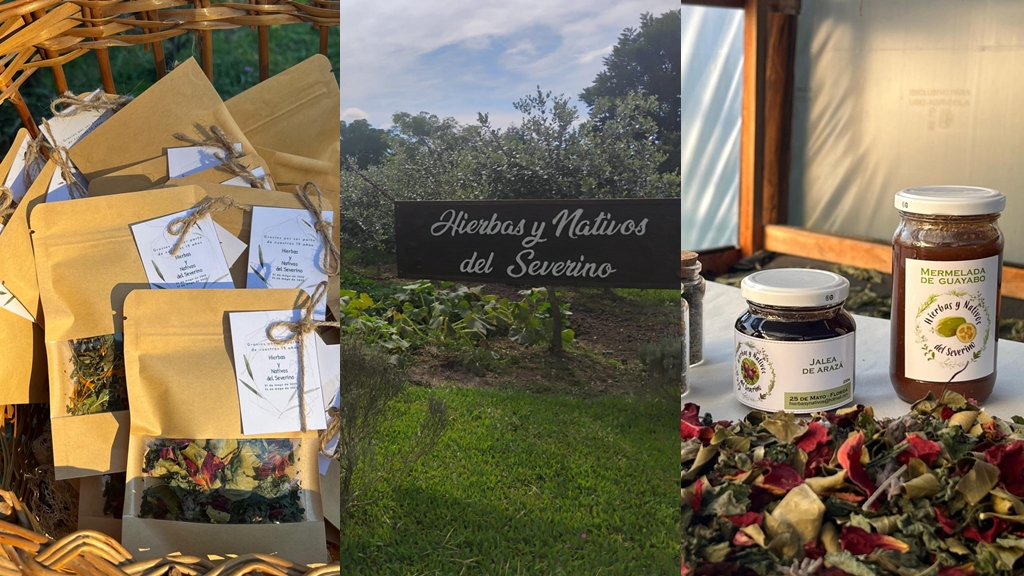 En Perspectiva Interior | Conocemos a “Hierbas y Nativos del Severino”, un grupo de mujeres de Florida que elabora productos a partir de plantas y frutales autóctonos
