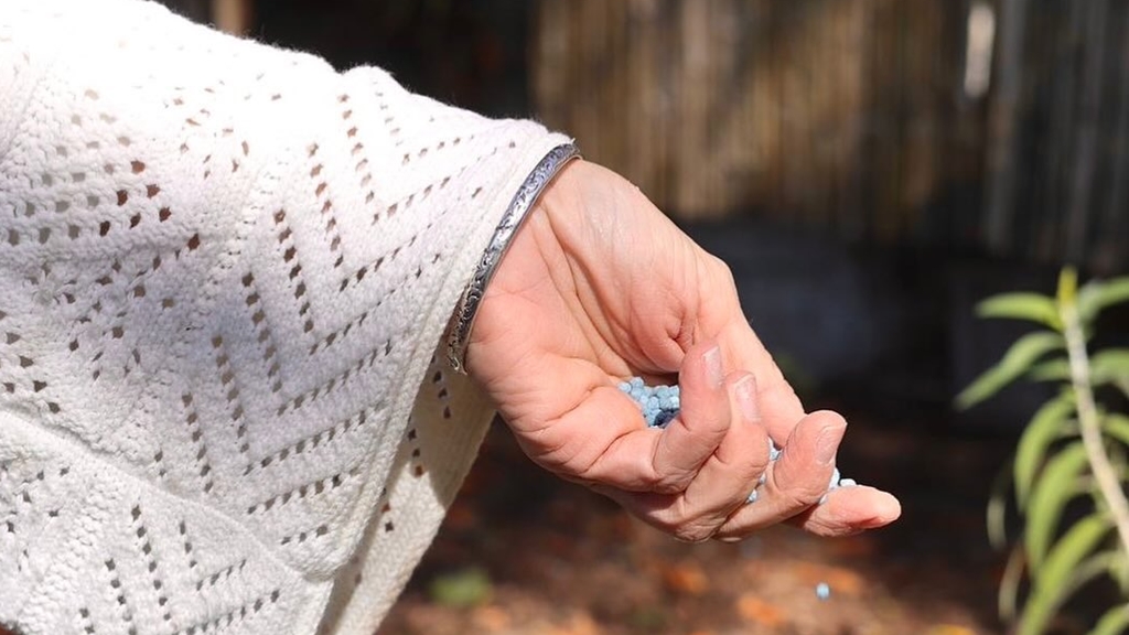 Fertilizar las plantas. Foto: Vivero Arte Verde