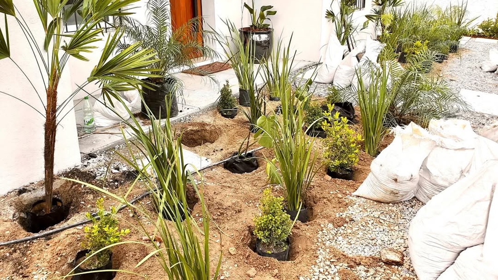 Jardín. Foto: Vivero Arte Verde