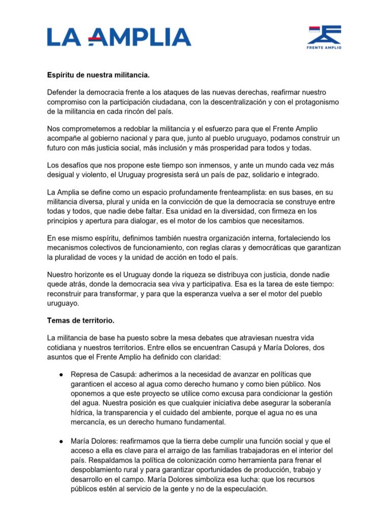 Declaración Política de La Amplia