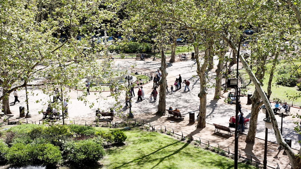 Plaza Matriz es reacondicionada por la IM para “constituir un diseño anterior” y “restituir su sentido original”, dice Marcelo Roux, director de Espacios Públicos