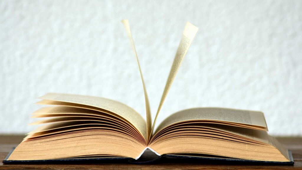 Libro, libros. Foto: Pixnio