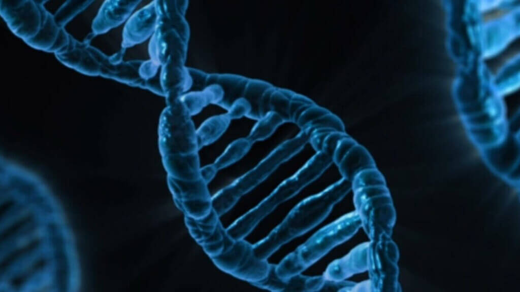 Cómo el estilo de vida modifica la expresión de tus genes