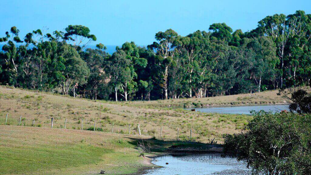 Laguna de Rocha. Foto: adhocFotos