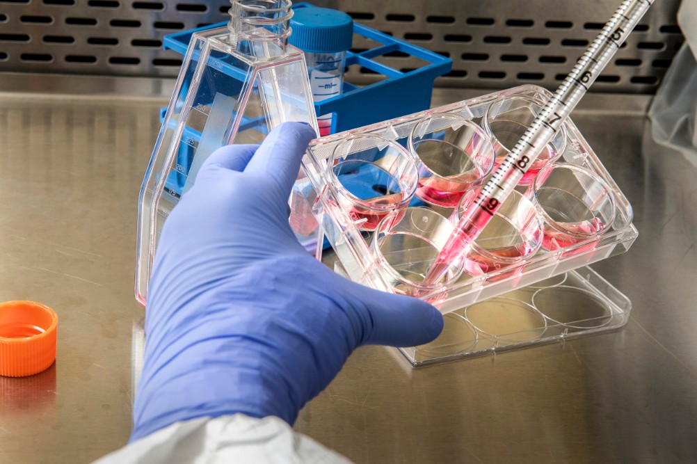 La Mesa TIC | ¿Qué usos tiene hoy la inteligencia artificial en la salud?