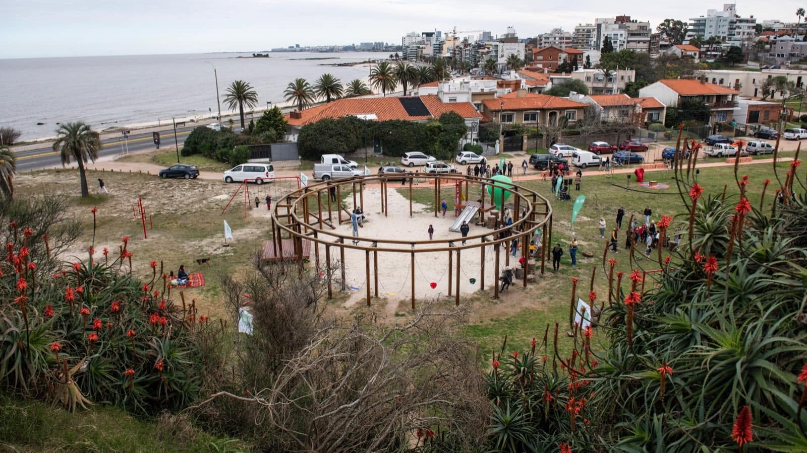 Parque Baroffio: Comisión de vecinos trabaja junto a la Intendencia de Montevideo para recuperar su biodiversidad y fortalecer su uso comunitario